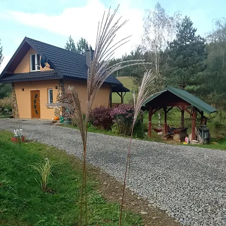 Domek Nad Stawem Siemuszowa Tyrawa Woloska Exterior photo