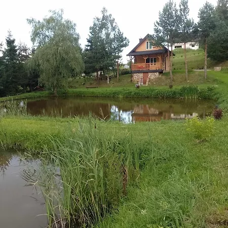 Domek Nad Stawem Siemuszowa Tyrawa Woloska Exterior photo