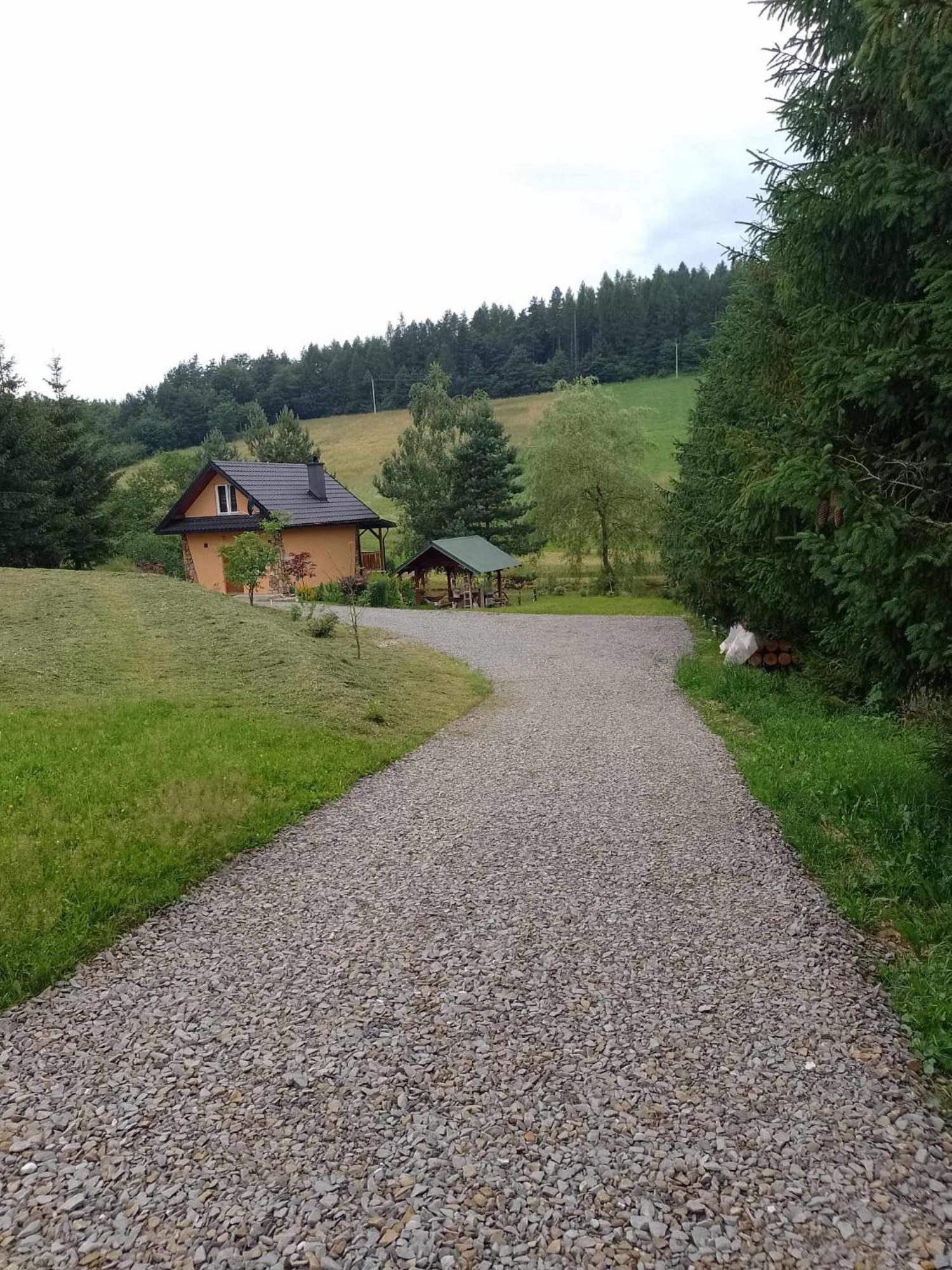 Nad Stawem Siemuszowa
